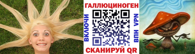 Псилоцибиновые грибы GOLDEN TEACHER  купить наркотик  Алагир 